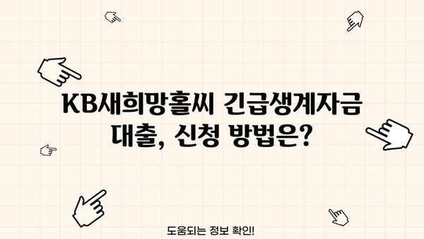 KB새희망홀씨 긴급생계자금 추가 대출, 한도·금리·기간·조건 완벽 정리 | 국민은행, 대출 정보, 긴급자금