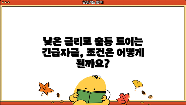 KB새희망홀씨 긴급생계자금 추가 대출, 한도·금리·기간·조건 완벽 정리 | 국민은행, 대출 정보, 긴급자금