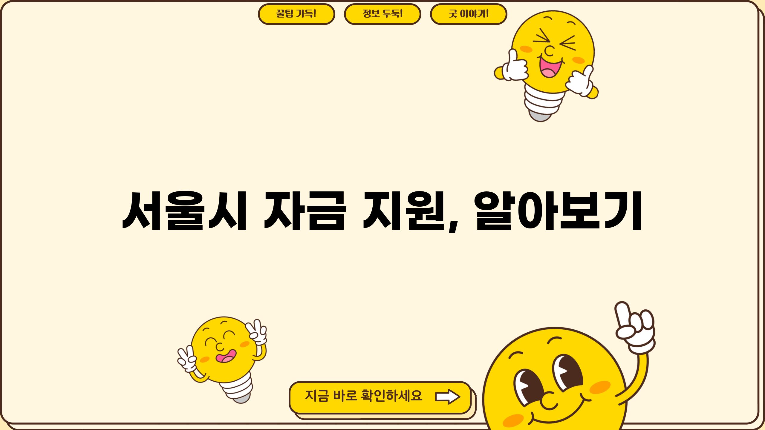 서울시 자금 지원, 알아보기