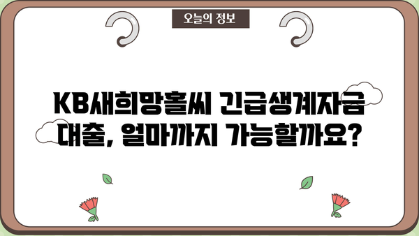 KB새희망홀씨 긴급생계자금 추가 대출, 한도·금리·기간·조건 완벽 정리 | 국민은행, 대출 정보, 긴급자금