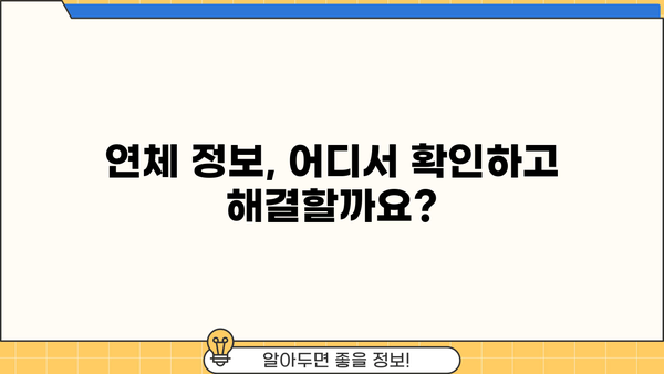 대출 연체 조회| 내 연체 정보 확인하고 해결하는 방법 | 연체 조회, 연체 해결, 신용 관리, 금융 정보