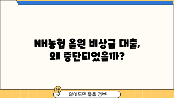 NH 농협 올원 비상금 대출 중단 이유와 대안 알아보기 | 비상금, 대출, 농협, 올원