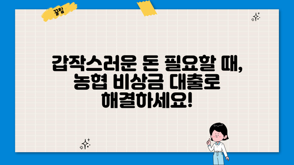 긴급 자금 필요할 때? 무직자도 OK! 농협 비상금 대출 상세 가이드 | 비상금, 대출, 무직자, 농협, 긴급자금