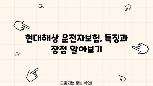 현대해상 운전자보험 가입 전 꼭 알아야 할 핵심 정보 | 보장 범위, 특징, 비교 분석, 추천