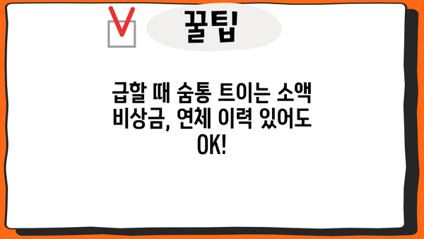 연체자도 가능! 소액 비상금 대출, 단기 & 장기 맞춤 안내 | 비상금, 소액대출, 연체자 대출,  대출 정보