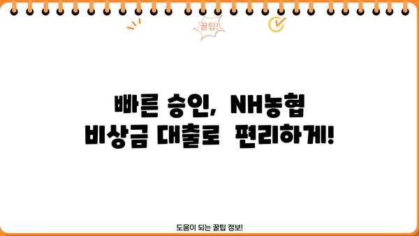NH농협 비상금 대출| 금리, 한도, 조건 총정리 | 비상금 마련, 신용대출, 빠른 승인