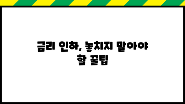 대출 이자 줄이는 꿀팁! 효과적인 상환 전략 & 방법 | 대출 이자, 상환 계획, 금리 인하