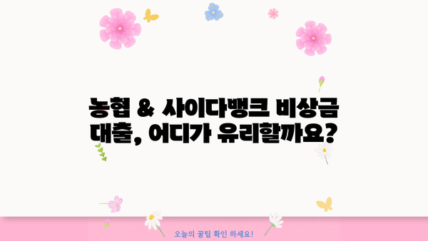 농협 & 사이다뱅크 비상금 대출 완벽 가이드| 조건, 금리, 한도 비교 | 비상금, 소액대출, 신용대출, 급전