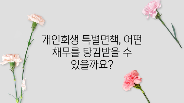 개인회생 특별면책, 궁금한 모든 것| 절차, 조건, 효과 | 개인회생, 파산, 면책, 채무 탕감