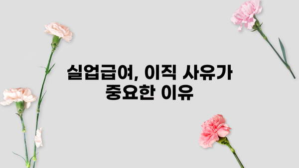 실업급여 수령 가능한 정당한 이직 사유 완벽 가이드 | 이직, 실업급여, 퇴사, 팁, 해고