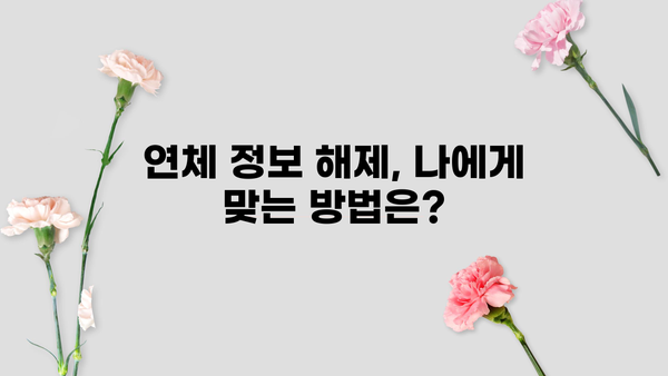 대출 연체정보 해제, 이렇게 하면 됩니다| 단계별 가이드 | 연체 정보 해결, 신용 회복, 대출 정보