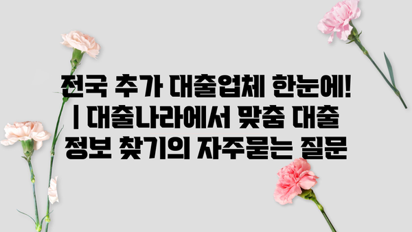 전국 추가 대출업체 한눈에! | 대출나라에서 맞춤 대출 정보 찾기
