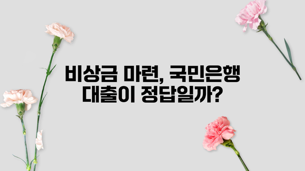 국민은행 비상금 대출 상환 조건, 금리, 후기 총정리 | 비상금 마련, 대출 상환, 후기 정보