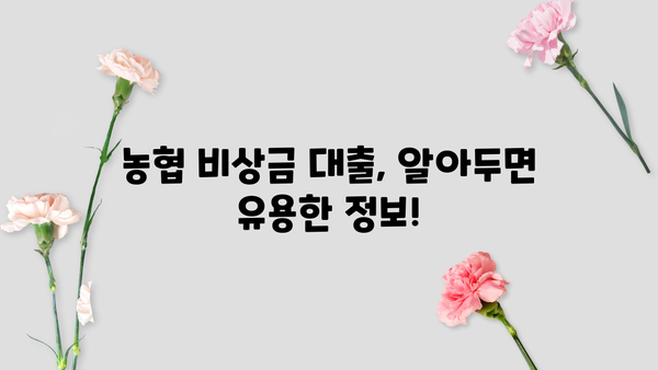 농협 비상금 대출| 필요할 때 빛나는 긴급 자금 마련 | 대출 조건, 한도, 금리, 신청 방법
