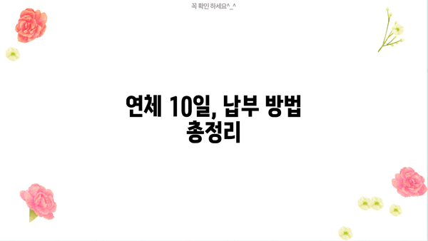 대출 연체 10일 디시| 납부 방법 & 연체료 계산 | 대출, 연체, 디시, 납부, 계산, 정보