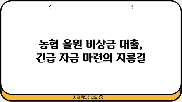 농협 올원 비상금 대출, 조건과 금리 비교 | 나에게 맞는 대출 찾기 | 비상금, 대출, 금리, 농협, 올원