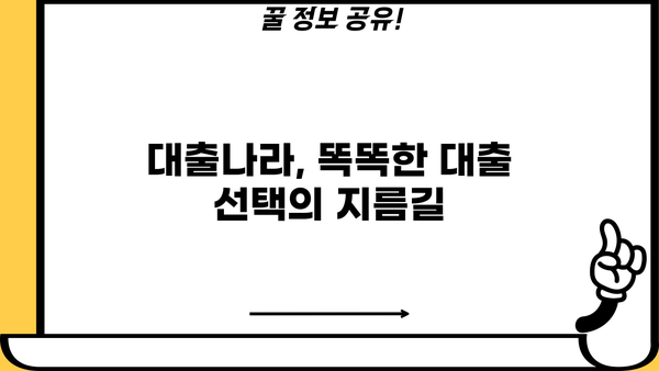 대출나라 이용 가이드| 나에게 딱 맞는 대출 상품 찾기 | 대출 비교, 금리, 한도, 신용등급, 전문가 상담