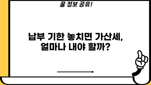 원천징수 납부불성실 가산세 개정| 핵심 내용 및 변경 사항 총정리 | 세금, 가산세, 납부, 개정