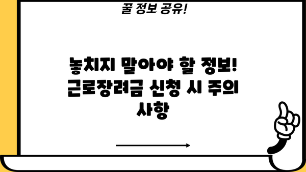 2024년 단독가구 근로장려금 신청 가이드 | 자격 조건, 신청 방법, 지급 금액, 주의 사항