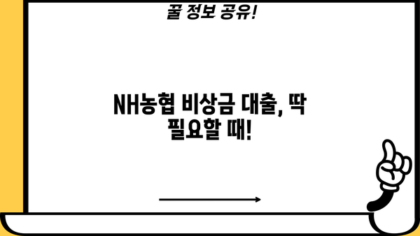 NH농협 비상금 대출| 금리, 한도, 조건 총정리 | 비상금 마련, 신용대출, 빠른 승인
