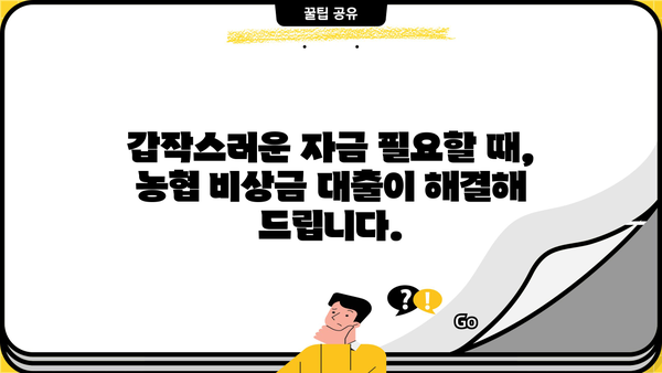 저금리 시대, 든든한 지원군! 농협 비상금 대출 재개 | 비상금, 저금리 대출, 농협, 금융 정보