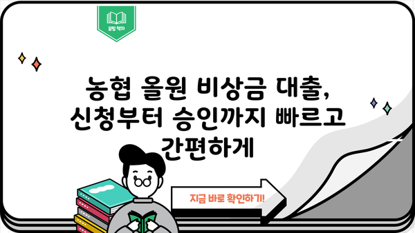 농협 올원 비상금 대출, 조건과 금리 비교 | 나에게 맞는 대출 찾기 | 비상금, 대출, 금리, 농협, 올원