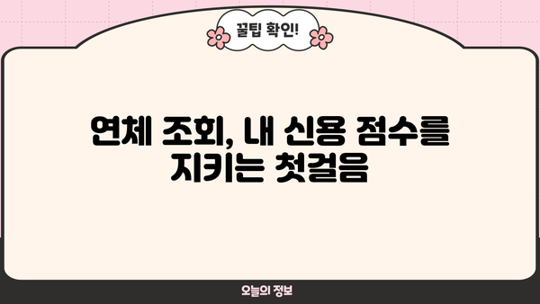 대출 연체 조회| 내 연체 정보 확인하고 해결하는 방법 | 연체 조회, 연체 해결, 신용 관리, 금융 정보