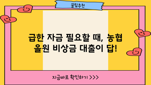 농협 올원 비상금 대출, 자세히 알아보기| 조건, 한도, 금리, 신청 방법 총정리 | 비상금 대출, 긴급 자금, 농협