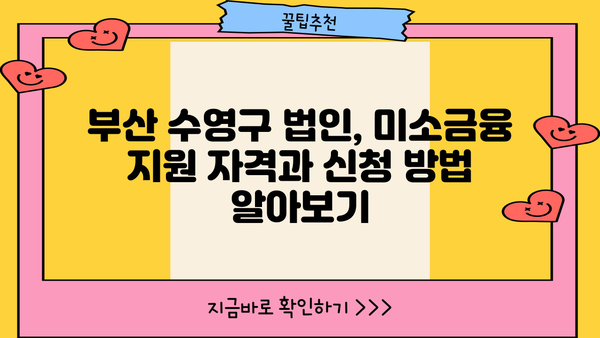 부산 수영구 법인을 위한 미소금융 지원 정보 | 사업자금, 금융 지원, 부산 수영구