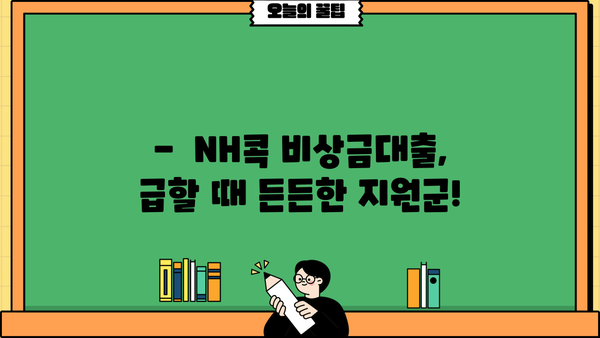 NH콕 비상금대출| 준·조합원·하나로가족 고객을 위한 소액대출 가이드 |  NH농협은행, 비상금, 소액대출, 신청 자격, 금리