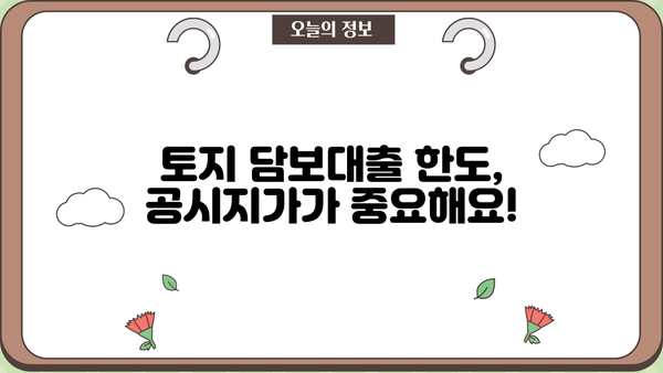 토지 담보대출, 공시지가로 얼마까지 받을 수 있을까요? | 토지 담보대출 한도, 금리, 조건, 신청 방법