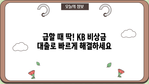 KB 비상금 대출, 급할 때 딱! | 빠른 승인, 간편한 신청, 금리 비교