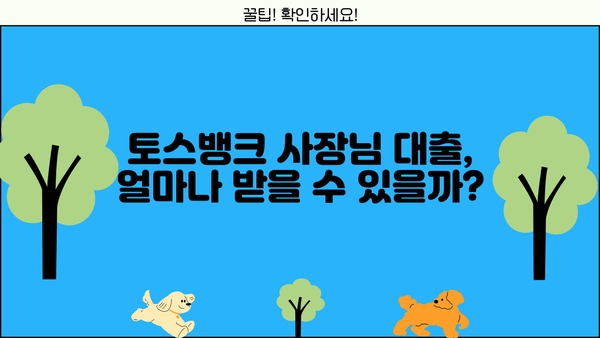 토스뱅크 사장님 대출| 금리, 한도, 조건, 신청 방법 총정리 | 토스뱅크, 대출, 금융, 신청