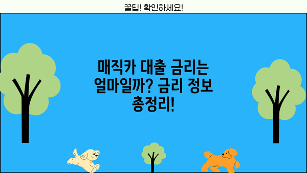 국민은행 매직카 중고차 대출 자격, 금리, 조건 완벽 정리 | 중고차 구매, 대출 정보, 금융 상담