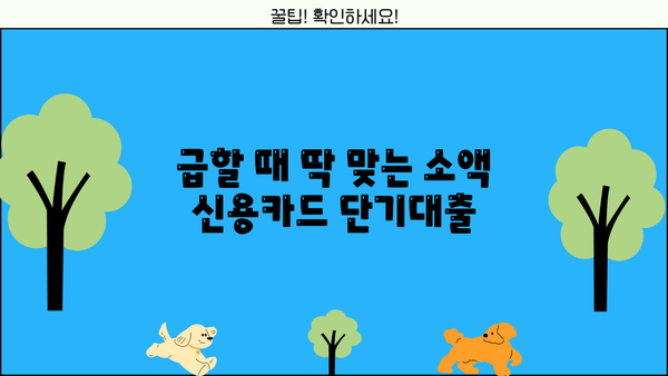 소액 신용카드 단기대출, 딱 맞는 곳 찾기| 추천 상품 & 신청 가이드 | 소액대출, 단기대출, 신용카드론, 비교