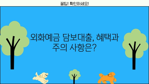 신한은행 외화예금담보대출 완벽 가이드| 상품, 대상, 한도, 금리, 우대, 신청까지! | 외화예금, 담보대출, 신한은행