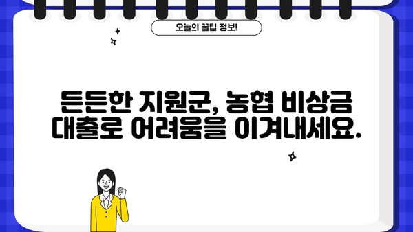 저금리 시대, 든든한 지원군! 농협 비상금 대출 재개 | 비상금, 저금리 대출, 농협, 금융 정보