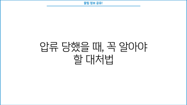 대출 연체로 인한 압류, 어떻게 대처해야 할까요? | 연체, 압류, 법률 상담, 해결 방안