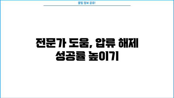 개인회생 압류해제, 어떻게 해야 할까요? | 압류 해제 절차, 필요 서류, 성공 사례