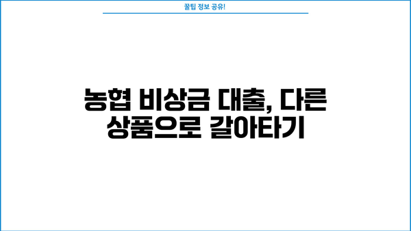 NH 농협 올원 비상금 대출 중단 이유와 대안 알아보기 | 비상금, 대출, 농협, 올원