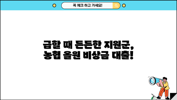 농협 올원 비상금 대출| 키위뱅크로 빠르고 간편하게! | 비상금, 대출, 키위뱅크, 농협