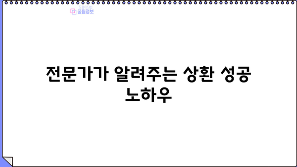 대출 만기일시상환 완벽 가이드 | 장단점 비교, 전략, 성공적인 상환 계획