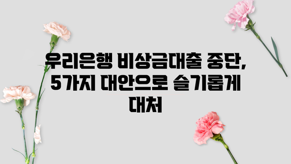 우리은행 비상금대출 중단 대비, 300만원까지 가능한 대안 5가지 | 비상금 마련, 대출 대안, 금융 정보
