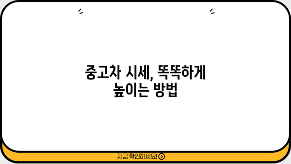 경차 중고차 대환대출 통합, 시세 2배 이상 높이는 방법 | 중고차 대출, 시세 상승, 성공 전략