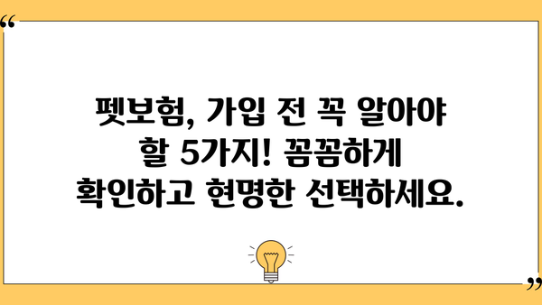 반려동물 보험 가입 전 꼭 알아야 할 5가지 | 펫보험 비교, 보장 범위, 가입 팁, 추천