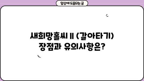 우리은행 새희망홀씨Ⅱ(갈아타기) 완벽 가이드| 자격, 한도, 금리, 신용등급, 서류, 방법 총정리 | 대환대출, 저신용자 대출, 신용대출