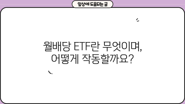 국내 월배당 ETF 투자 가이드| 알아야 할 모든 것 | 월배당, ETF, 투자 전략, 수익률 비교, 추천 종목