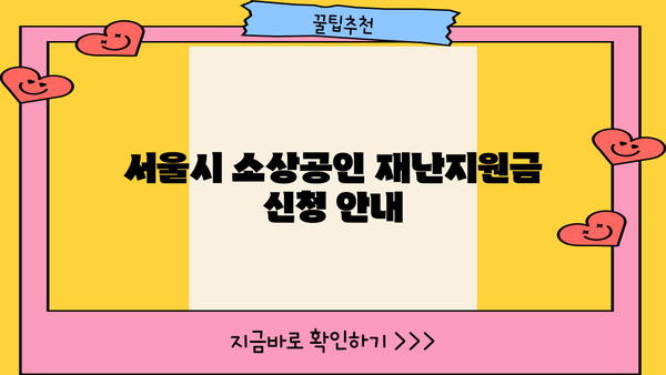 서울시 소상공인 재난지원금 신청, 지금 바로 확인하세요! | 신청 자격, 방법, 기간, 서류