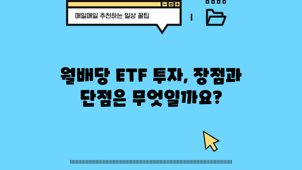 국내 월배당 ETF 투자 가이드| 알아야 할 모든 것 | 월배당, ETF, 투자 전략, 수익률 비교, 추천 종목
