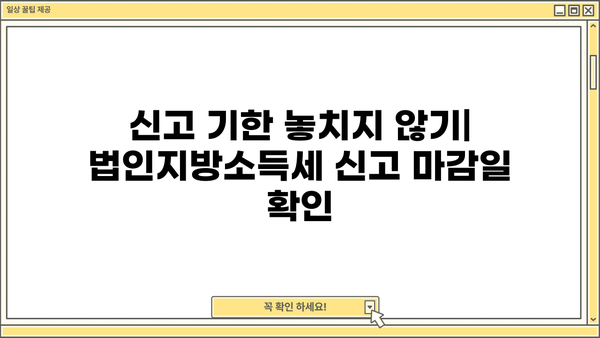 법인지방소득세 과세표준 완벽 이해하기 | 계산 방법, 신고 기한, 주요 사항, 세금 절세 팁